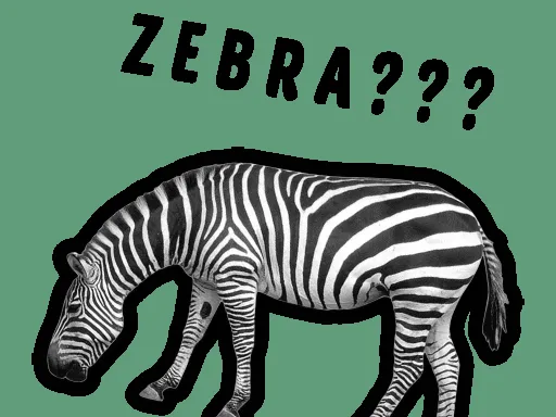 El Quiz Más Fácil del Mundo